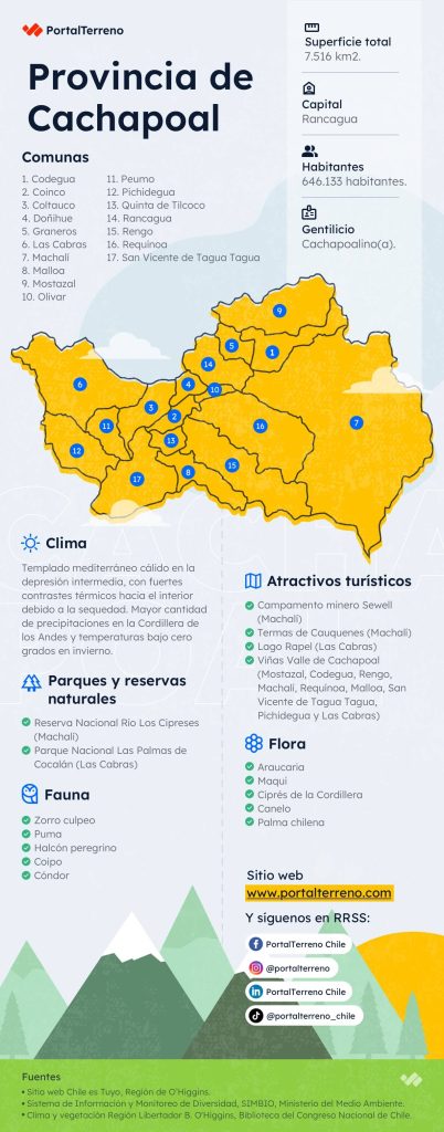 PT - Infografia Cachapoal