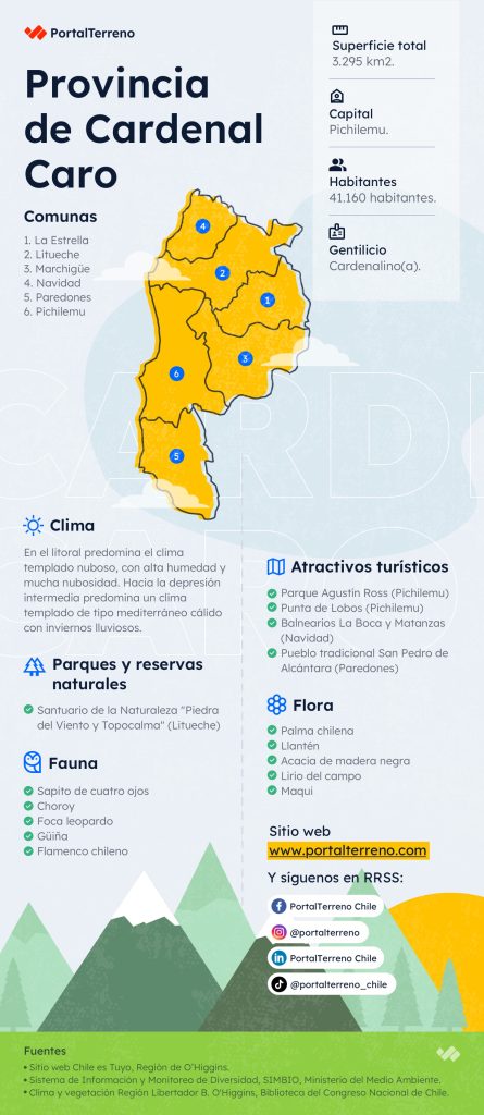 PT - Infografia Cardenal Caro
