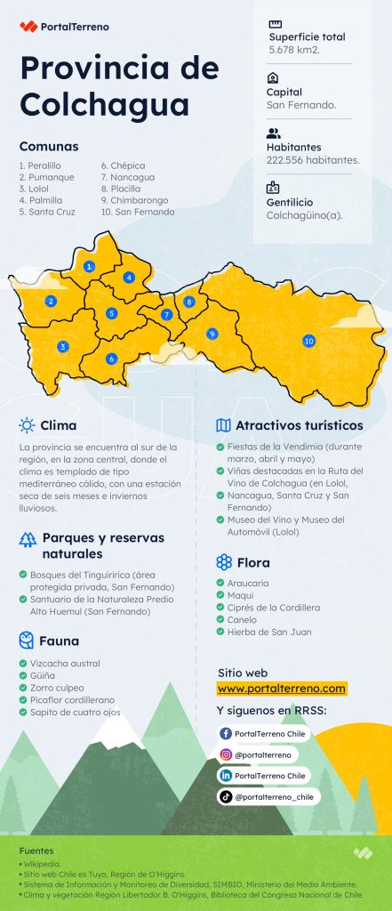 PT - Infografia Colchagua Infografía Colchagua PortalTerreno