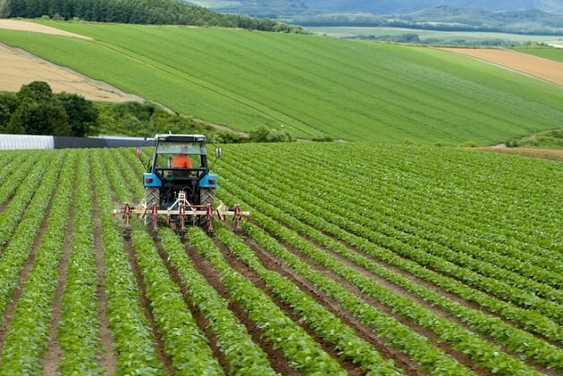 Tractor en campo. AJ Aijoyy, Shutterstock.
