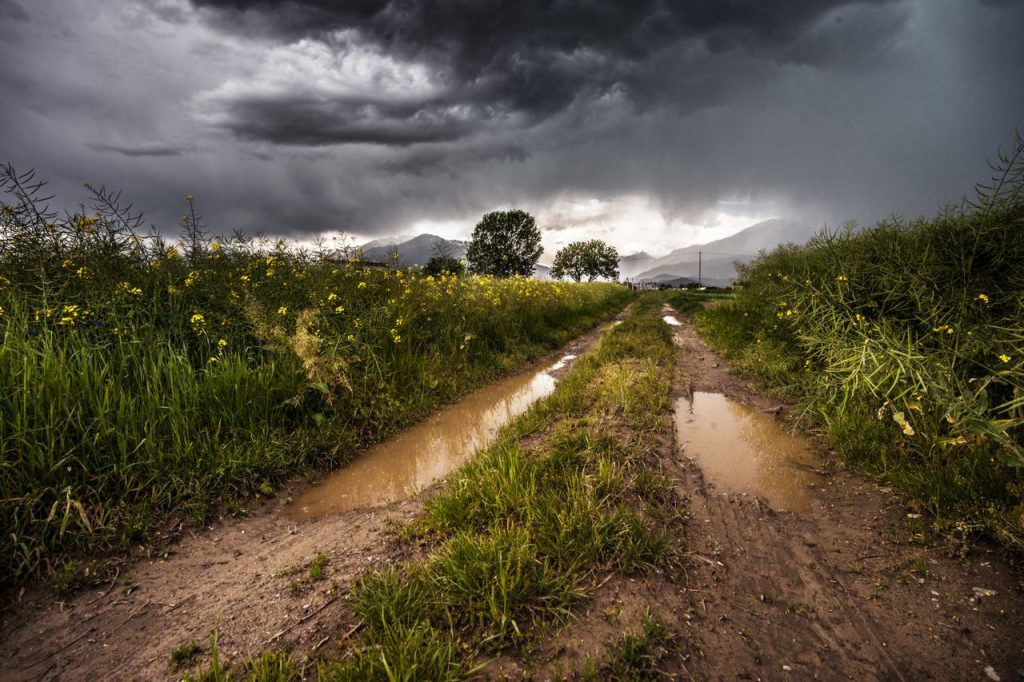 Terreno después de la lluvia. (Fuente: SplitShire, Pexels).